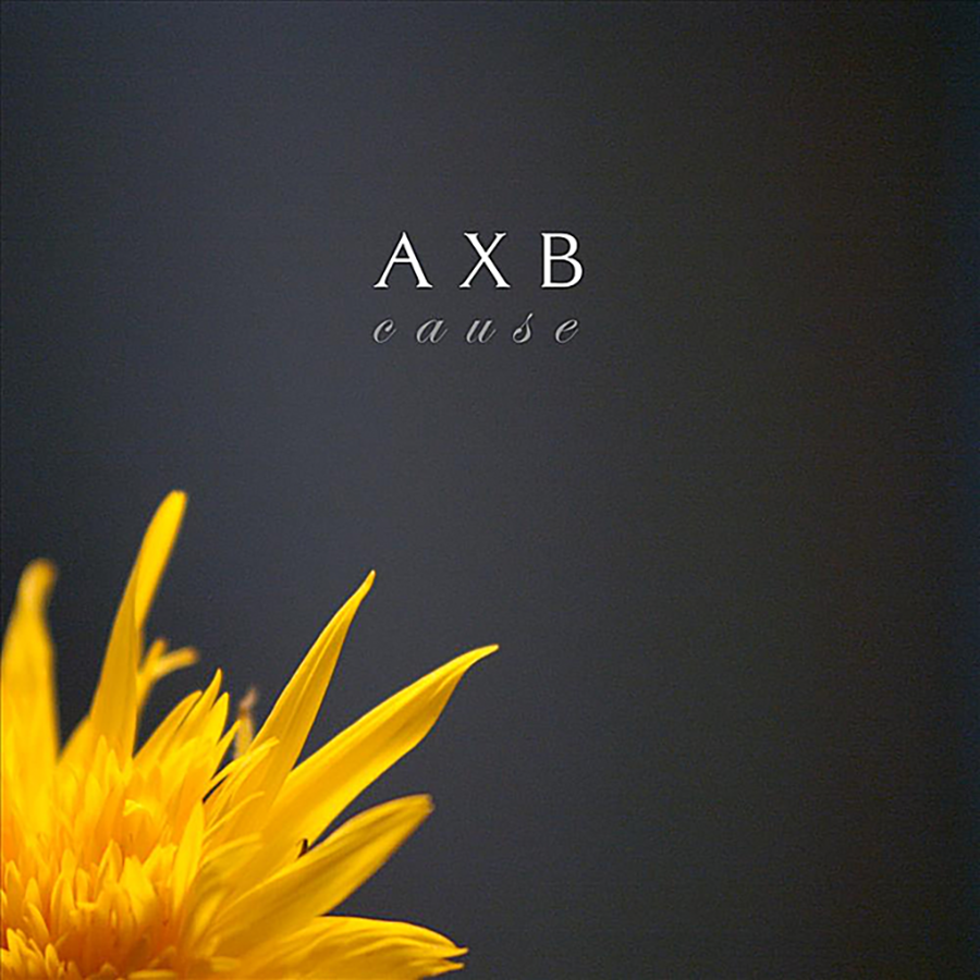 AXB-Cause